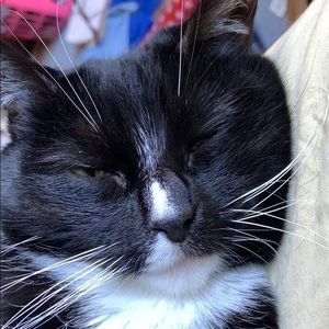 Meet your Posher, Jameson